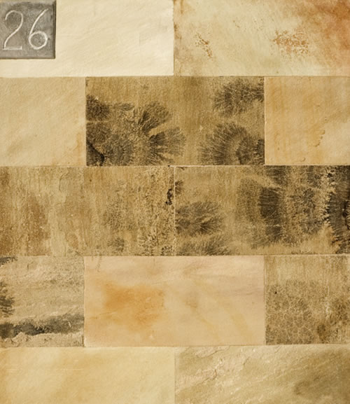 Arenisca Fósil 30x60 cm